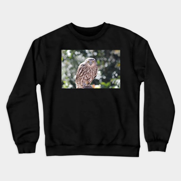 Eye Contact Crewneck Sweatshirt by LeanneAllen